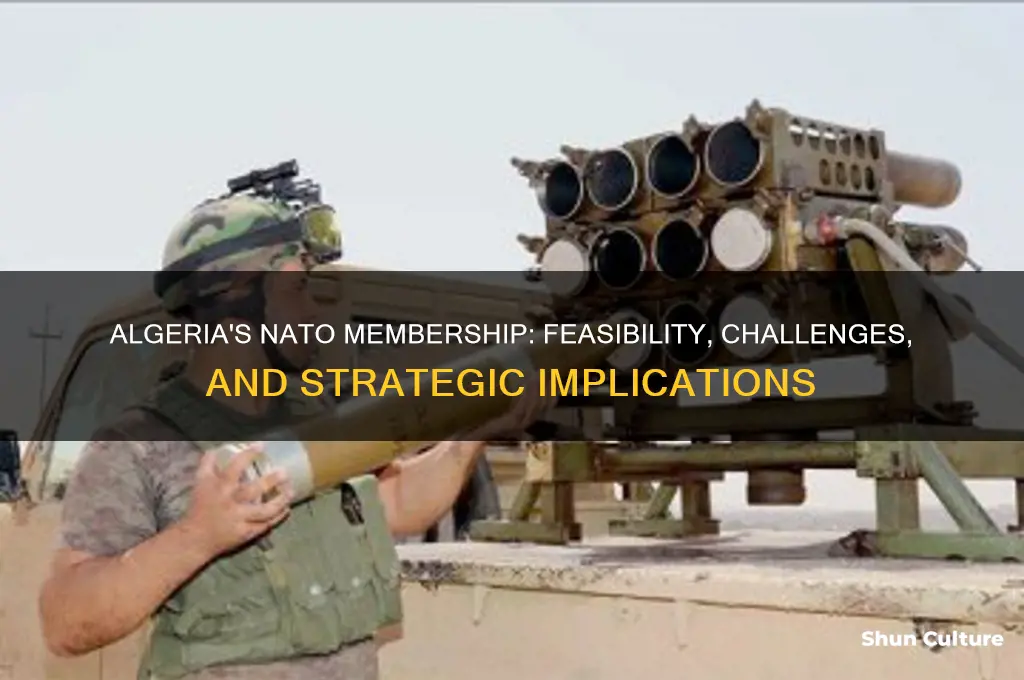can algeria join nato