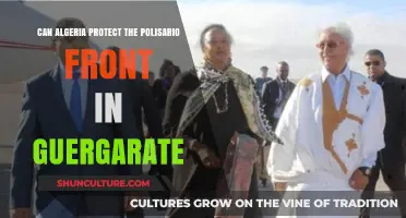 Algeria's Role: Can It Shield Polisario Front in Guergarate?