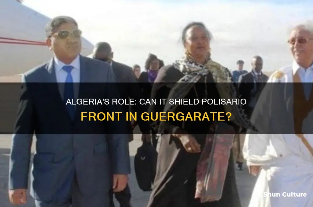can algeria protect the polisario front in guergarate
