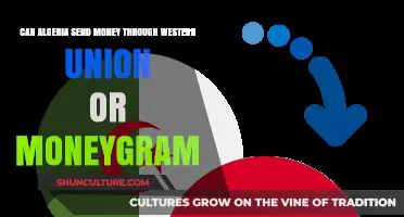 Sending Money from Algeria: Western Union and MoneyGram Options Explained