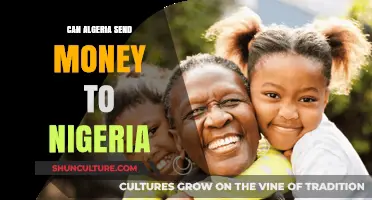 Sending Money from Algeria to Nigeria: Options, Fees, and Process