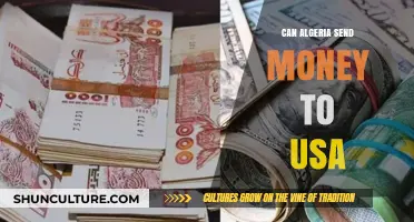 How Algerians Can Safely Transfer Money to the USA: A Guide