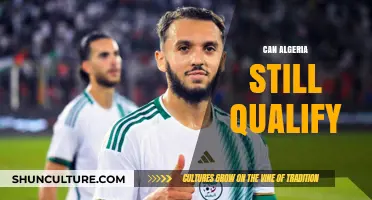 Algeria's World Cup Fate: Can They Still Secure Qualification?