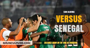 Algeria vs Senegal: Analyzing the Rivalry and Predicting the Outcome