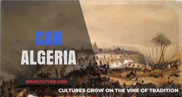 Can Algeria Lead Africa's Economic and Political Renaissance?
