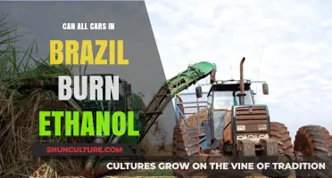 Can Brazil's Entire Car Fleet Run on Ethanol Fuel?