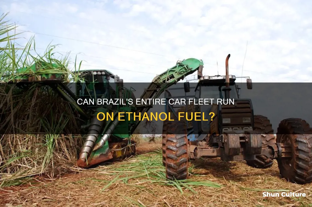 can all cars in brazil burn ethanol