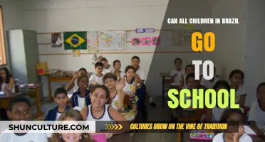 Access to Education in Brazil: Can Every Child Attend School?