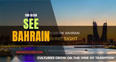 Allah's Vision: Bahrain and Beyond