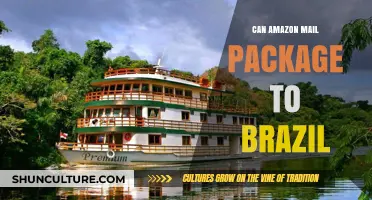 Can Amazon Deliver Packages to Brazil? Shipping Options Explained
