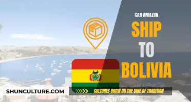 Amazon Shipping to Bolivia: Is It Possible?