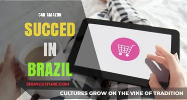 Can Amazon Thrive in Brazil's Complex E-Commerce Landscape?