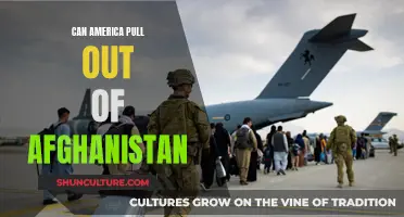 America's Afghan Conundrum: To Leave or Not to Leave?