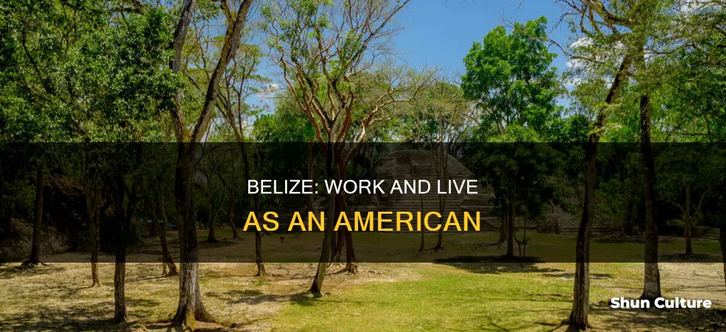 can american move to and work in belize