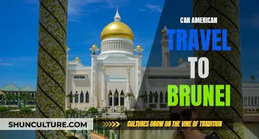 Exploring Brunei: Travel Options for Americans