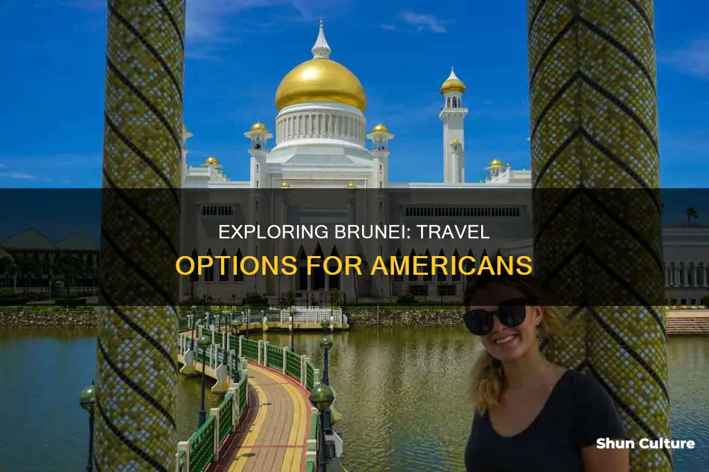 can american travel to brunei