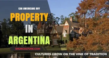 Exploring Real Estate Opportunities: A Guide for Americans in Argentina