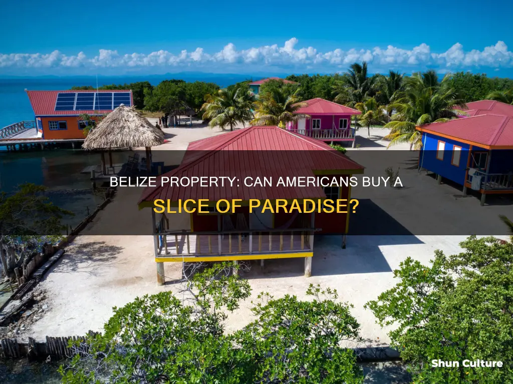 can americans buy property in belize