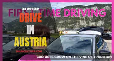 Driving in Austria: Rules for Americans