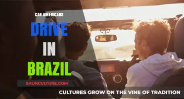 Can Americans Drive in Brazil? Legal Requirements and Tips