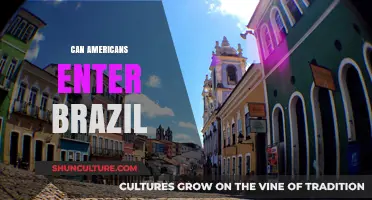 Can Americans Enter Brazil? Visa Requirements and Travel Tips