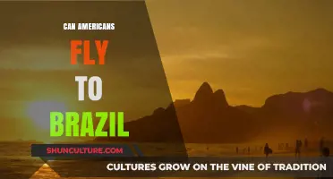 Can Americans Fly to Brazil? Travel Requirements and Tips