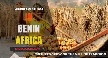 Navigating the Complexities of Travel and Residency in Benin, Africa