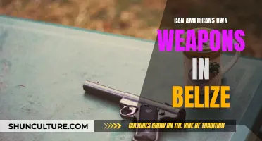 Weapons in Belize: What's Allowed for Americans?