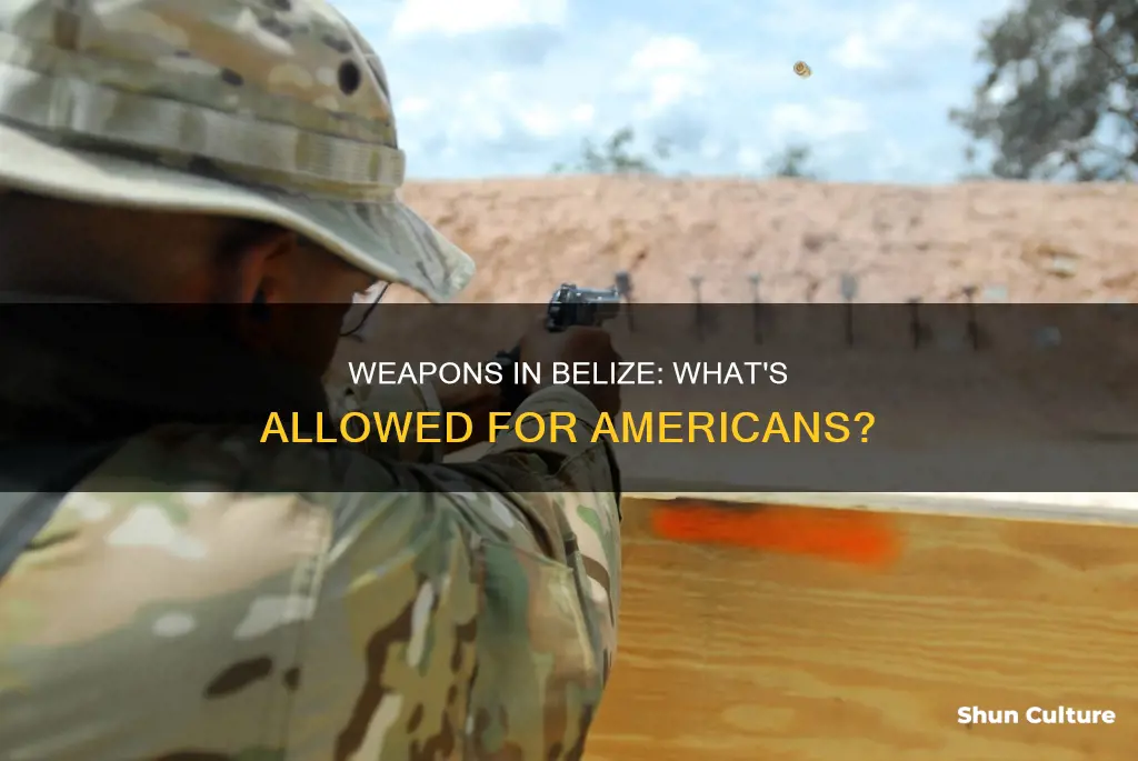 can americans own weapons in belize