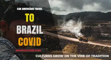 Traveling to Brazil During COVID-19: What Americans Need to Know