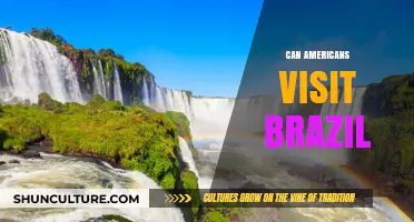 Can Americans Visit Brazil? Travel Requirements and Tips for US Citizens