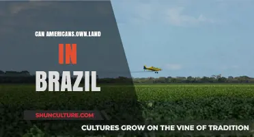 Can Americans Own Land in Brazil? Legal Insights and Requirements
