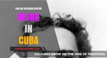 Algerian Doctors in Cuba: Opportunities, Challenges, and Requirements Explored