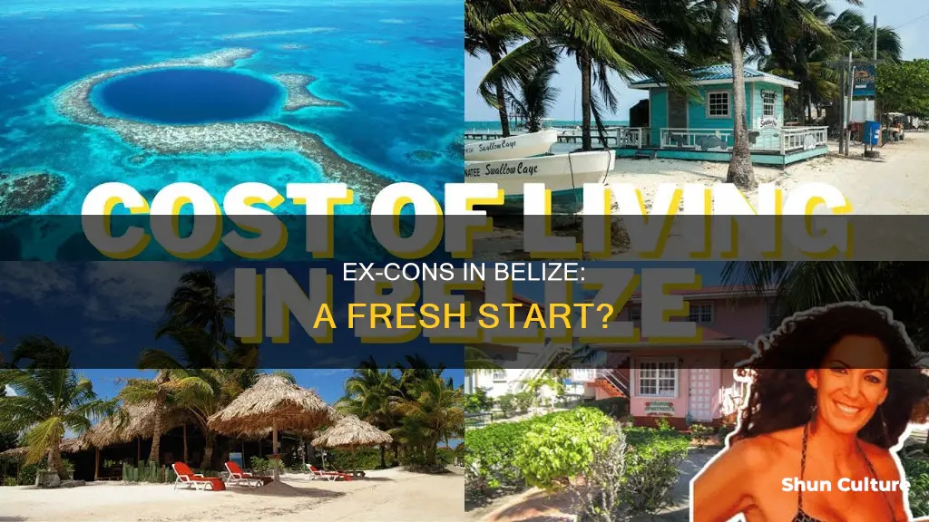 can an american ex con move to belize