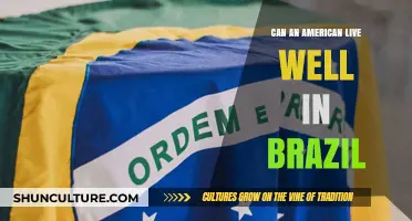 Living Well in Brazil: An American's Guide to Adapting and Thriving