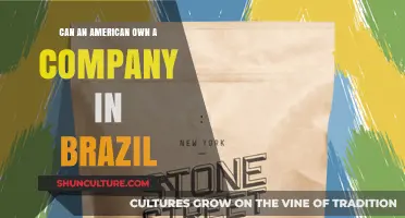 Can Americans Own Companies in Brazil? Legal Insights and Steps