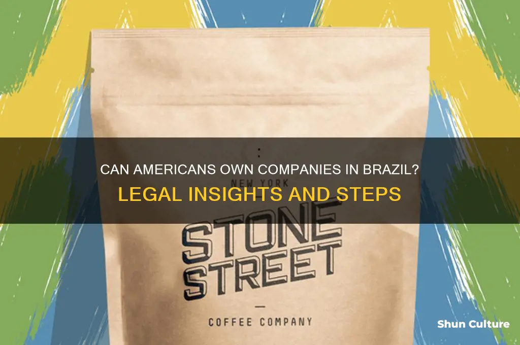 can an american own a company in brazil