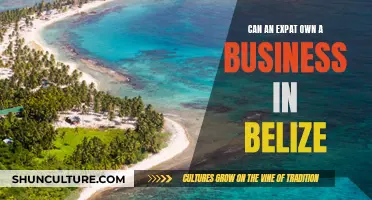 Business Ownership in Belize: The Expat Dream