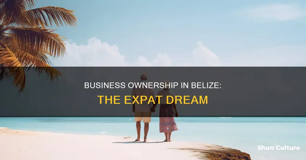 can an expat own a business in belize