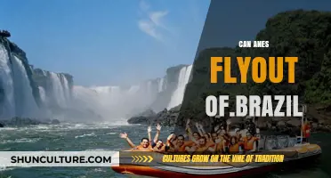 Can Anes Fly Out of Brazil? Exploring Legal and Travel Options