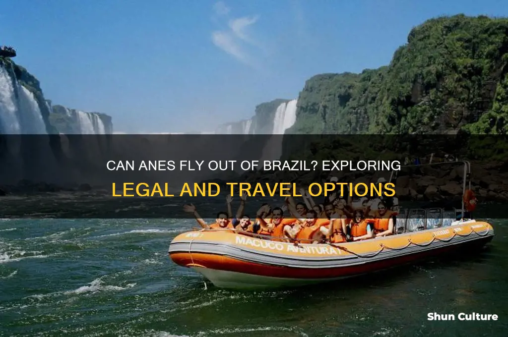 can anes flyout of.brazil