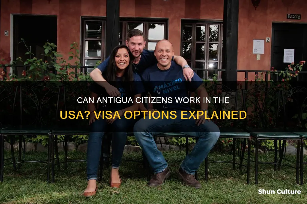 can antigua citizen work in usa