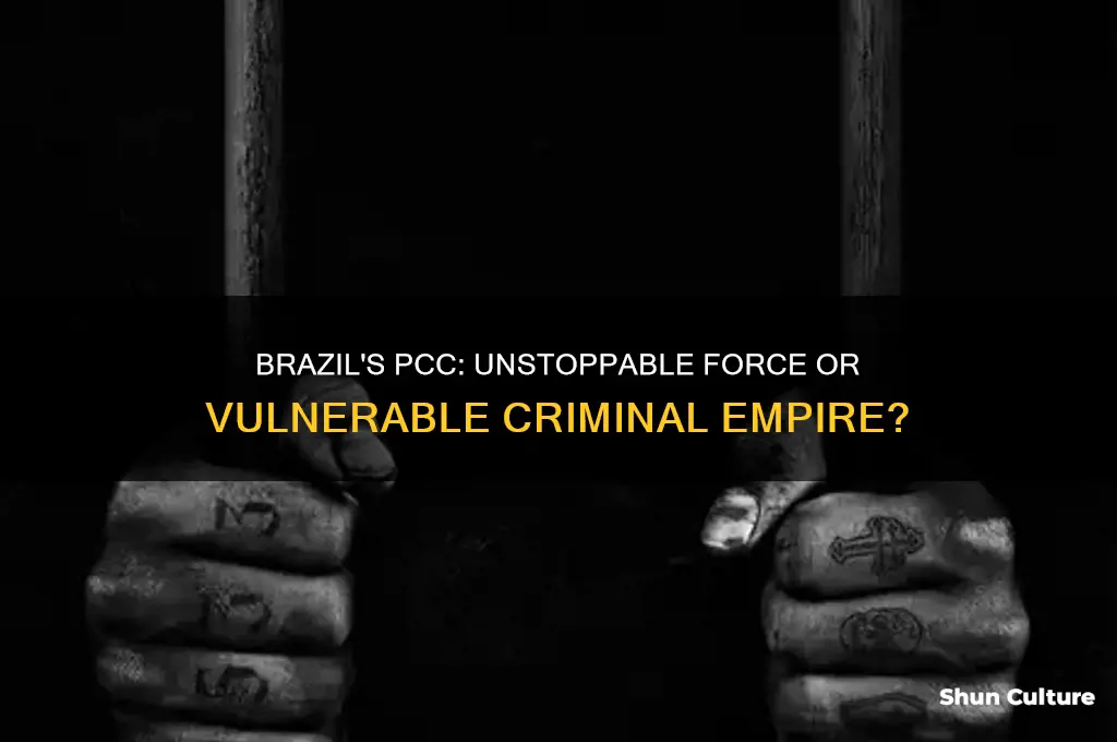 can anyone stop brazil