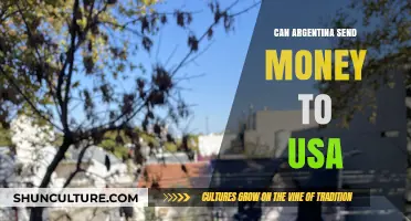 Exploring International Transfers: Can Argentina Send Money to the USA?