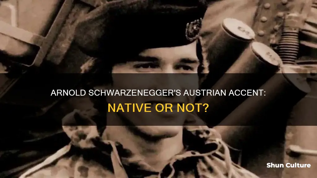 can arnold schwarzenegger speak austrian