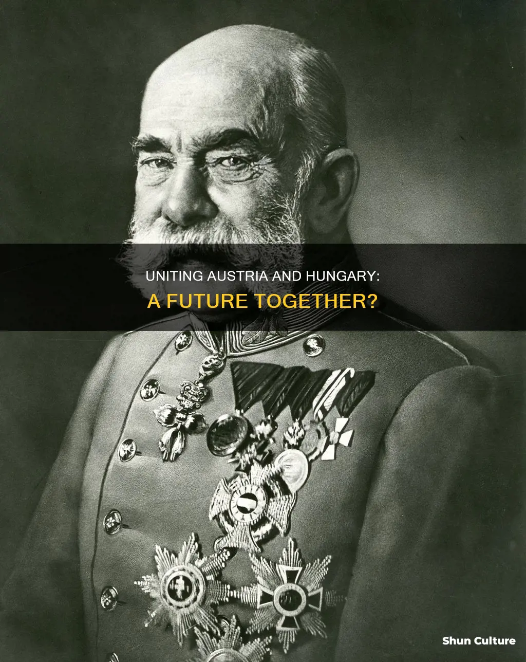 can austria and hungary unite