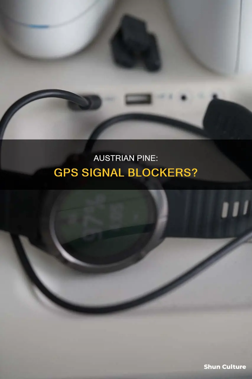 can austrian pine block gps signal