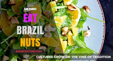 Can Babies Eat Brazil Nuts? Safety Tips and Nutritional Insights