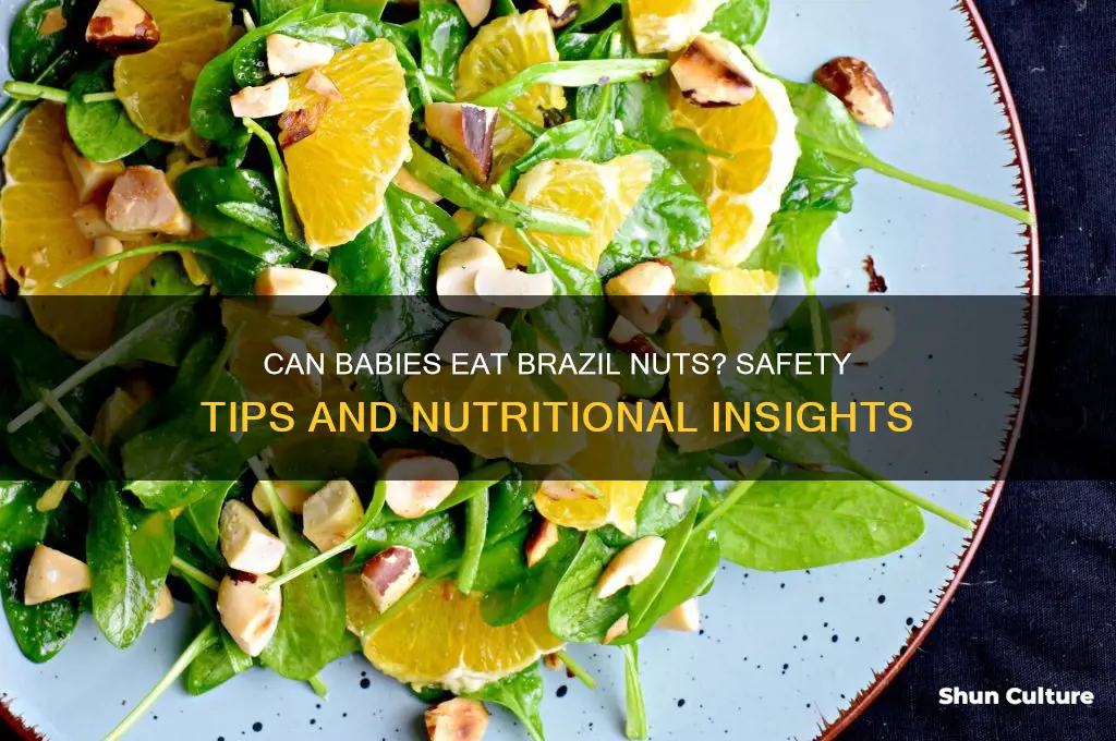 can babies eat brazil nuts