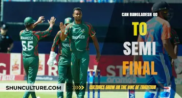 Can Bangladesh Secure a Semi-Final Spot in the Cricket World Cup?